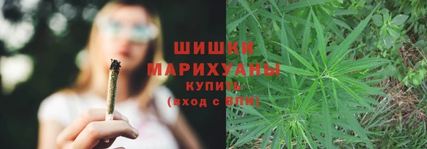 apvp Бородино