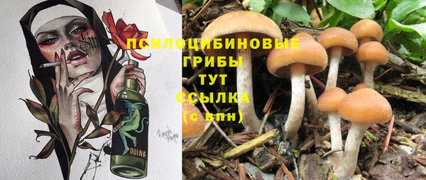 apvp Бородино