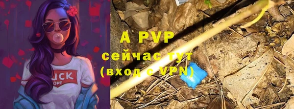apvp Бородино