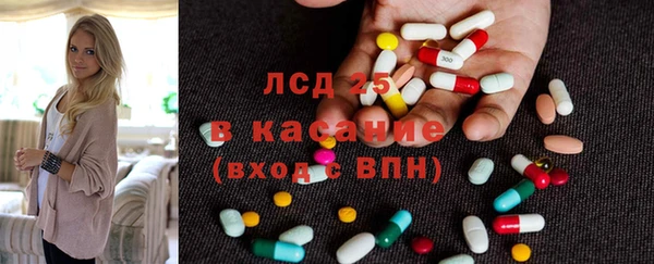 apvp Бородино