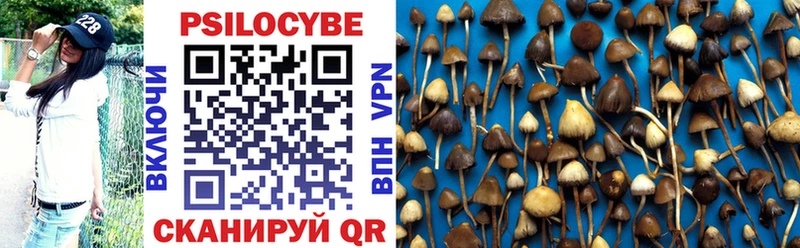 нарко площадка как зайти Кинешма Галлюциногенные грибы Psilocybe